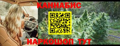 крисы Пугачёв