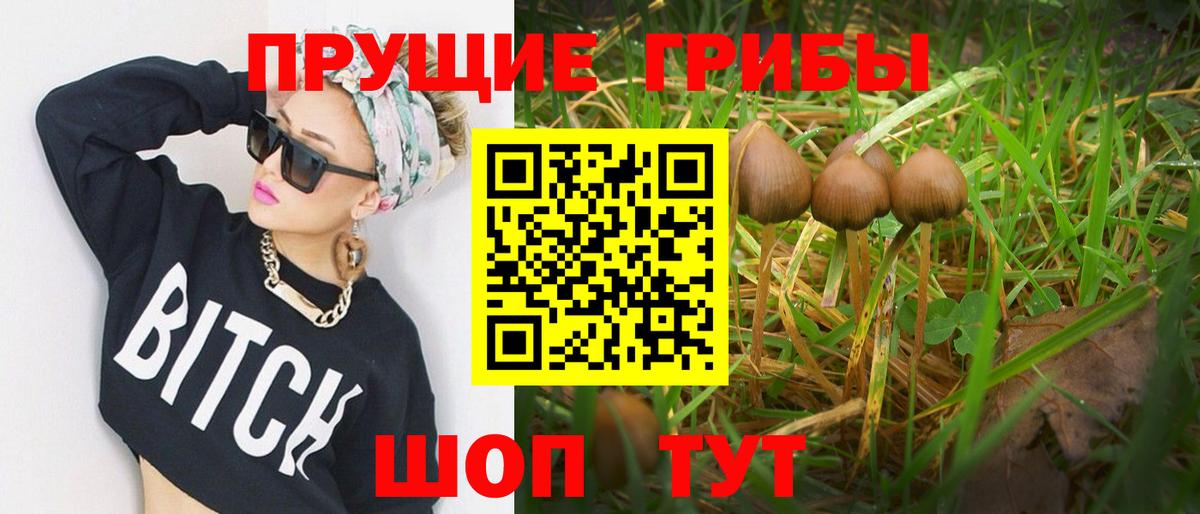 где можно купить наркотик  Галлюциногенные грибы GOLDEN TEACHER  Вход с VPN  Рубцовск 